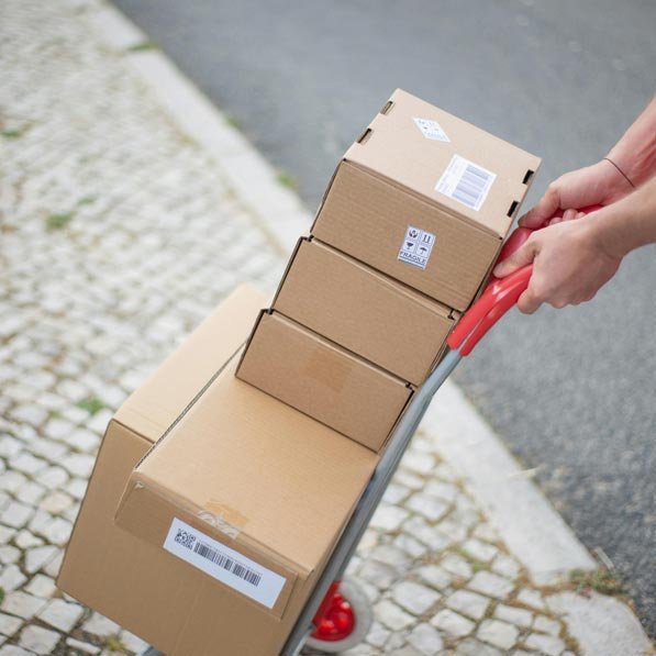 Express Courier Services